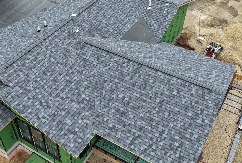 Professional Roofing